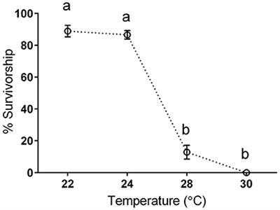 The Good, the Bad, and the Lethal: Gene Expression and Metabolomics Reveal Physiological Mechanisms Underlying Chronic Thermal Effects in Mayfly Larvae (Neocloeon triangulifer)